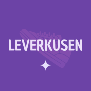 4 Wochen Kurs Leverkusen 02/2026